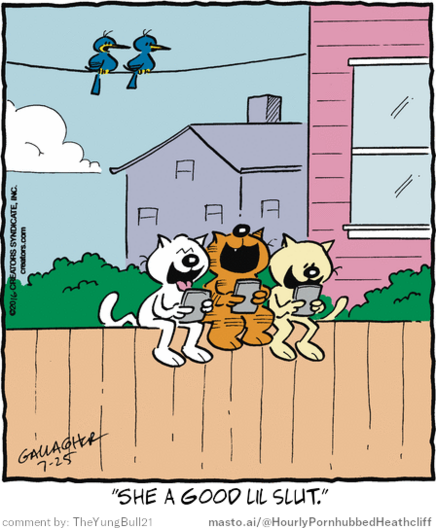 Original Heathcliff comic from July 25, 2016
New caption: 