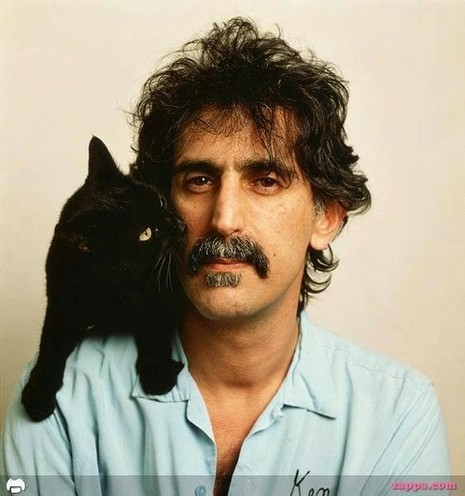 Frank Zappa on caturday