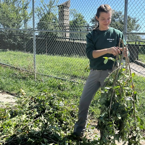 Azure Generated Description:
a man in a garden (52.46% confidence)
---------------
Azure Generated Tags:
clothing (99.41% confidence)
outdoor (99.38% confidence)
person (98.93% confidence)
plant (97.86% confidence)
fence (97.22% confidence)
tree (91.85% confidence)
footwear (85.84% confidence)
wire fencing (84.16% confidence)
grass (76.97% confidence)
field (63.82% confidence)
