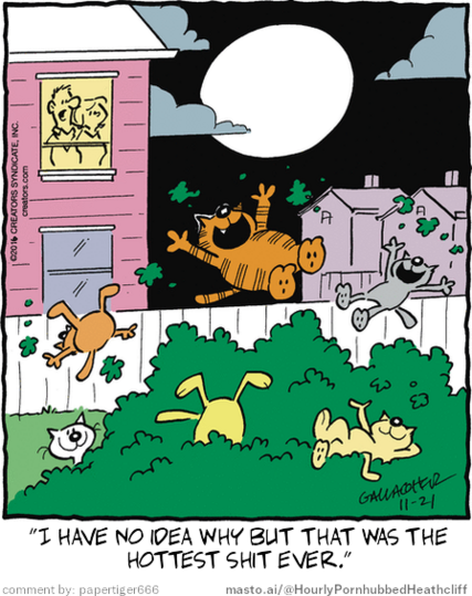 Original Heathcliff comic from November 21, 2016
New caption: 