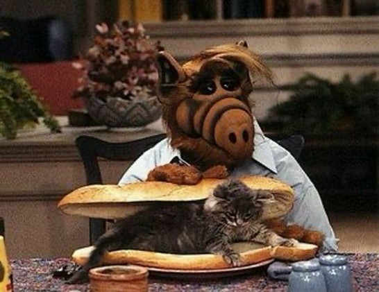 Screenshot from the TV show ALF (Alien Life Form) show the title character attempting to make a sandwich using a long loaf of bread and the household kitty cat.
