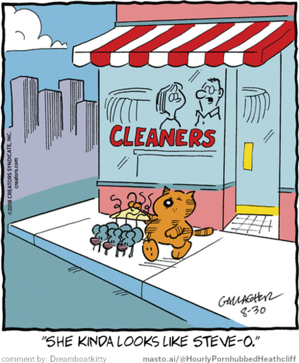 Original Heathcliff comic from August 30, 2018
New caption: 