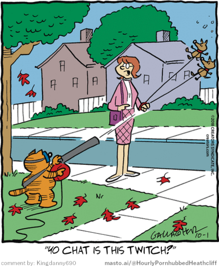 Original Heathcliff comic from October 1, 2018
New caption: 