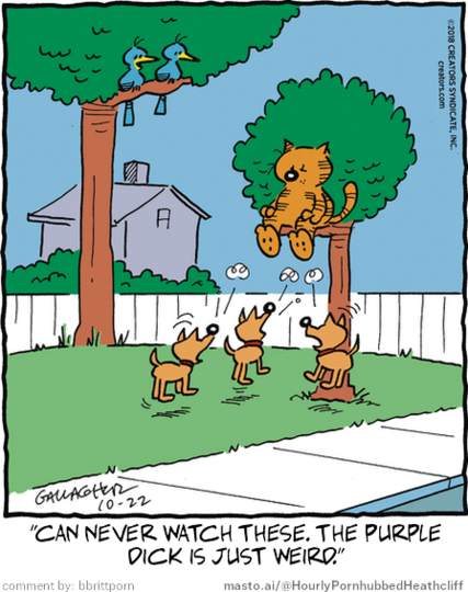 Original Heathcliff comic from October 22, 2018
New caption: 