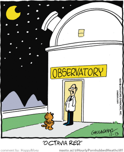 Original Heathcliff comic from November 13, 2018
New caption: 