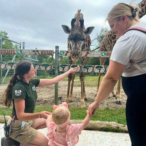 Azure Generated Description:
a person feeding a giraffe (59.87% confidence)
---------------
Azure Generated Tags:
clothing (99.57% confidence)
person (99.22% confidence)
outdoor (98.88% confidence)
sky (98.36% confidence)
toddler (95.54% confidence)
giraffe (94.24% confidence)
boy (92.51% confidence)
baby (89.10% confidence)
giraffidae (85.60% confidence)
girl (84.58% confidence)
zoo (83.81% confidence)
child (73.51% confidence)
ground (69.13% confidence)
standing (61.89% confidence)
people (61.55% confidence)
woman (59.53% confidence)
feeding (54.56% confidence)
rhino (41.93% confidence)
