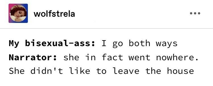 Post from Tumblr user Wolfstrela:

My bisexual-ass: I go both ways
Narrator: she in fact went nowhere. She didn't like to leave the house.