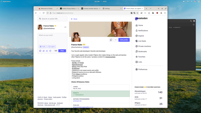 The Mastodon user interface in Firefox in elementary OS 8.