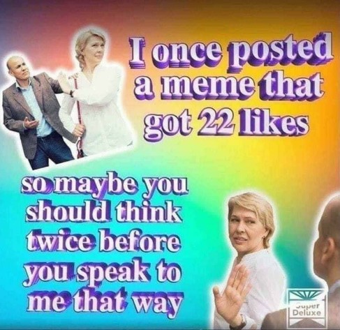 I once posted a meme that got 22 likes so maybe you should think twice before you speak to me that way