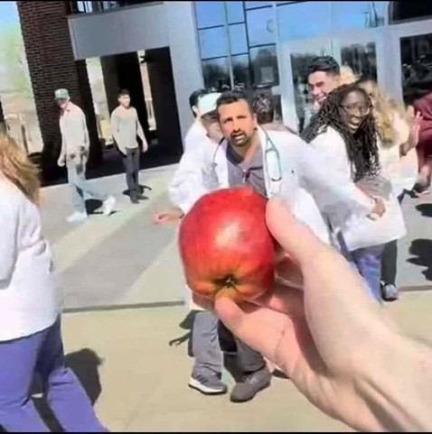 Doctors scrambling around trying to find cover because someone brought an apple to the campus.