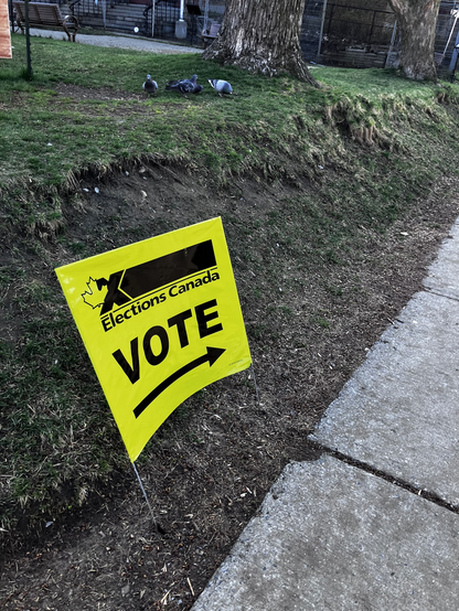 Yellow Elections Canada sign states, 'Vote' with a black arrow underneath in the ground on a hill. In the background are pigeons and a tree.