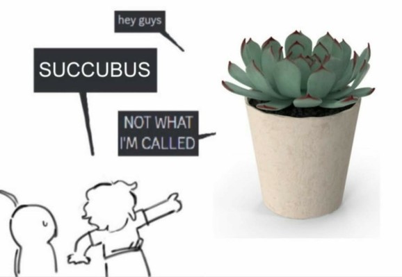 A succulent calling out to two people: "hey guys"
One of the people says: "Succubus"
Succulent replies: "Not what I'm called"