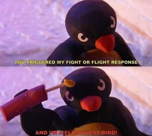 Pingu (a penguin, brows furrowed): You triggered my fight or flight response.

And I'm a flightless bird.