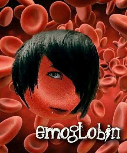 An image of a red blood cell with long black sidebangs. Caption says "emoglobin".