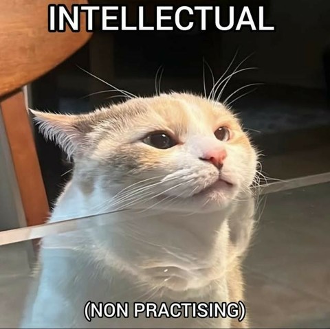 Dumb cat with its chin rested on a glass table. Caption says "Intellectual (non-practising)