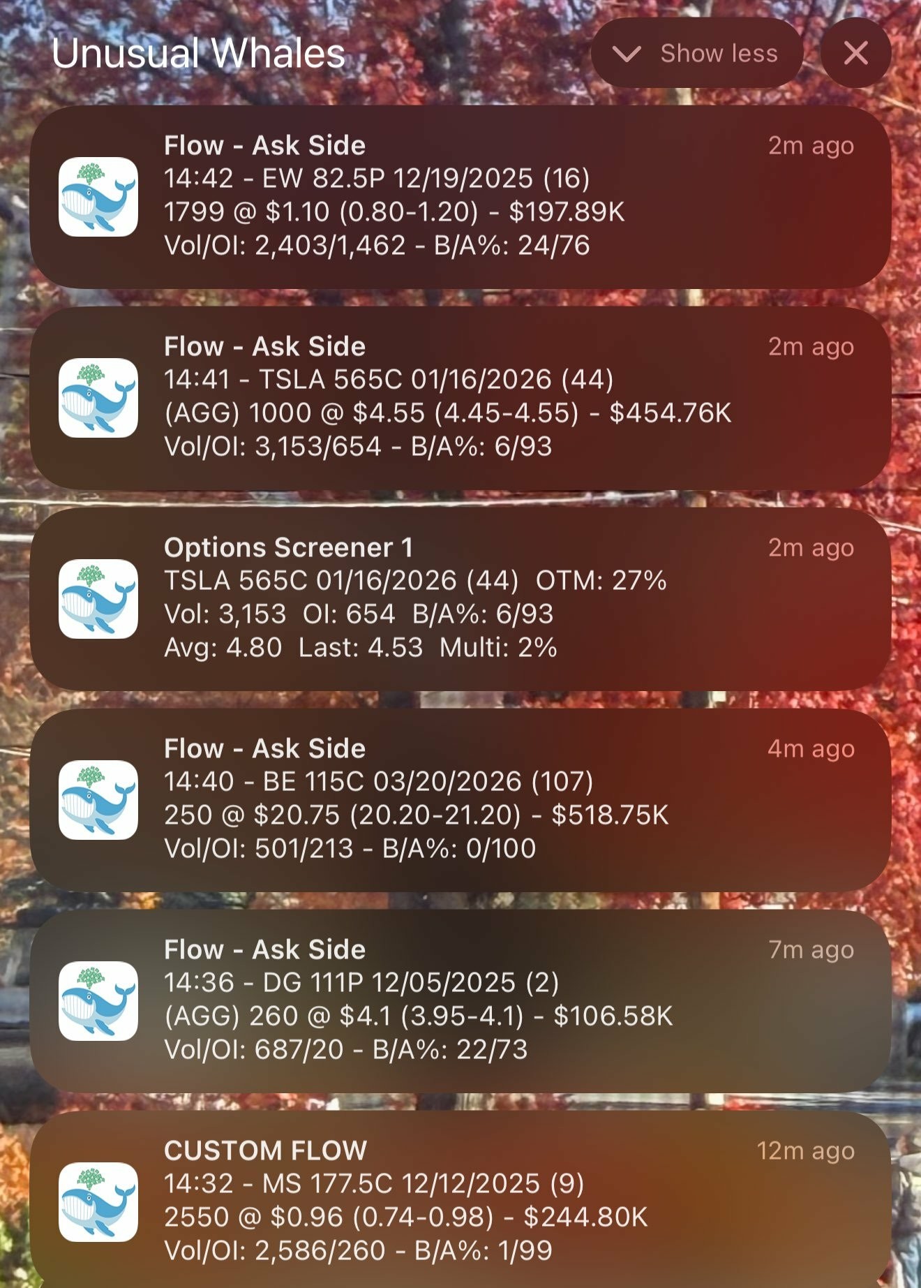 Sorry, no caption provided by author