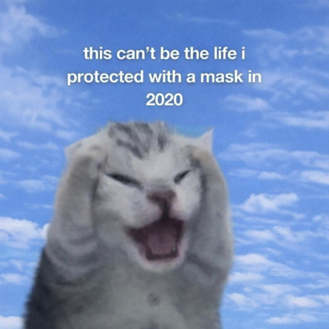 Distressed kitten holding to her head while a blue sky with thin clouds fill the background. "This can't be the life I protected with a mask in 2020."