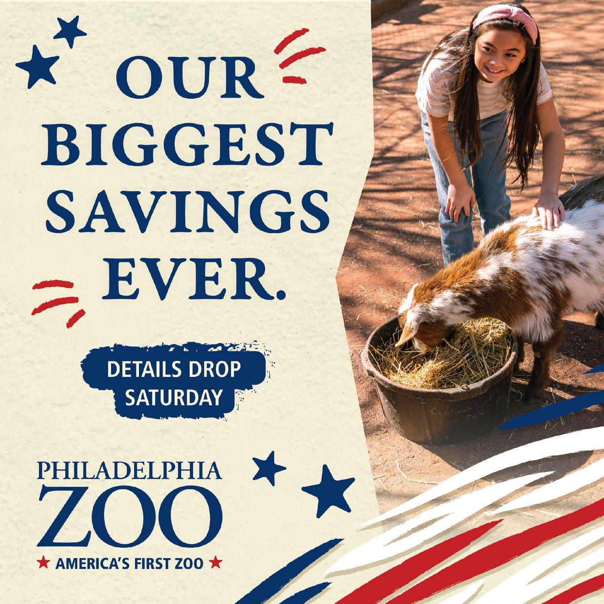 The image features a girl feeding a goat at a Philadelphia Zoo. She is feeding the goat from a bucket placed on the ground. The girl and the goat are positioned close to each other, with the girl holding the bucket and the goat eating from it. The girl is positioned on the left side of the image, while the goat is on the right. The background of the image is colorful, with red, white, and blue stripes and stars. This vibrant backdrop sets a cheerful and lively atmosphere, highlighting the playful interaction between the girl and the goat.