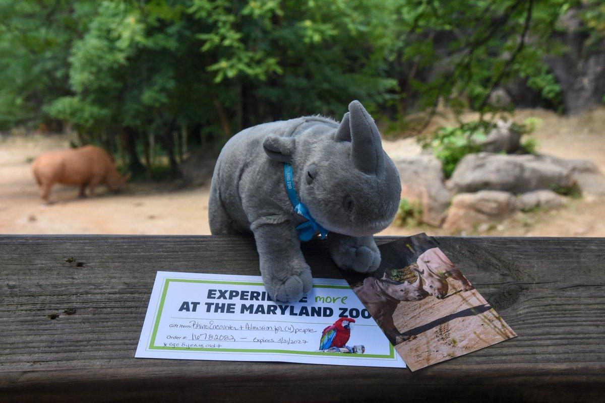 A gray stuffed rhino toy is sitting on a wooden bench, with a black and white photo of a rhino on the bench. The bench is situated in a park setting, surrounded by trees.