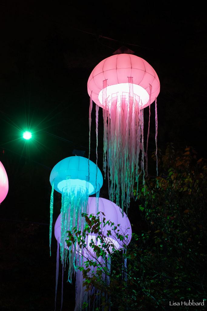 The image features a trio of jellyfish floating in the night sky, illuminated by green and blue lights. The jellyfish are glowing in a pinkish hue, with long, thin tails visible. They are suspended in the air, giving the impression of floating. The scene is set against a dark background, which contrasts with the glowing jellyfish and makes the lights stand out. The relative positions of the jellyfish and lights indicate that they are spread out evenly across the image.