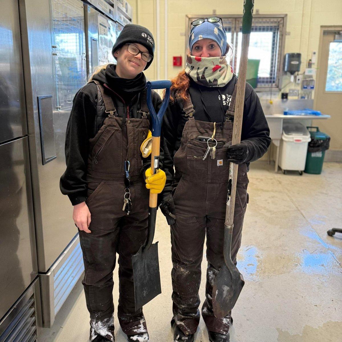 In a room with a refrigerator and sink, two people stand side by side, each holding a shovel. The person on the left wears a black beanie and has a red backpack slung over their shoulder. The person on the right wears a blue hat with a yellow stripe and carries a yellow shovel. The sink in the background appears to be dirty.