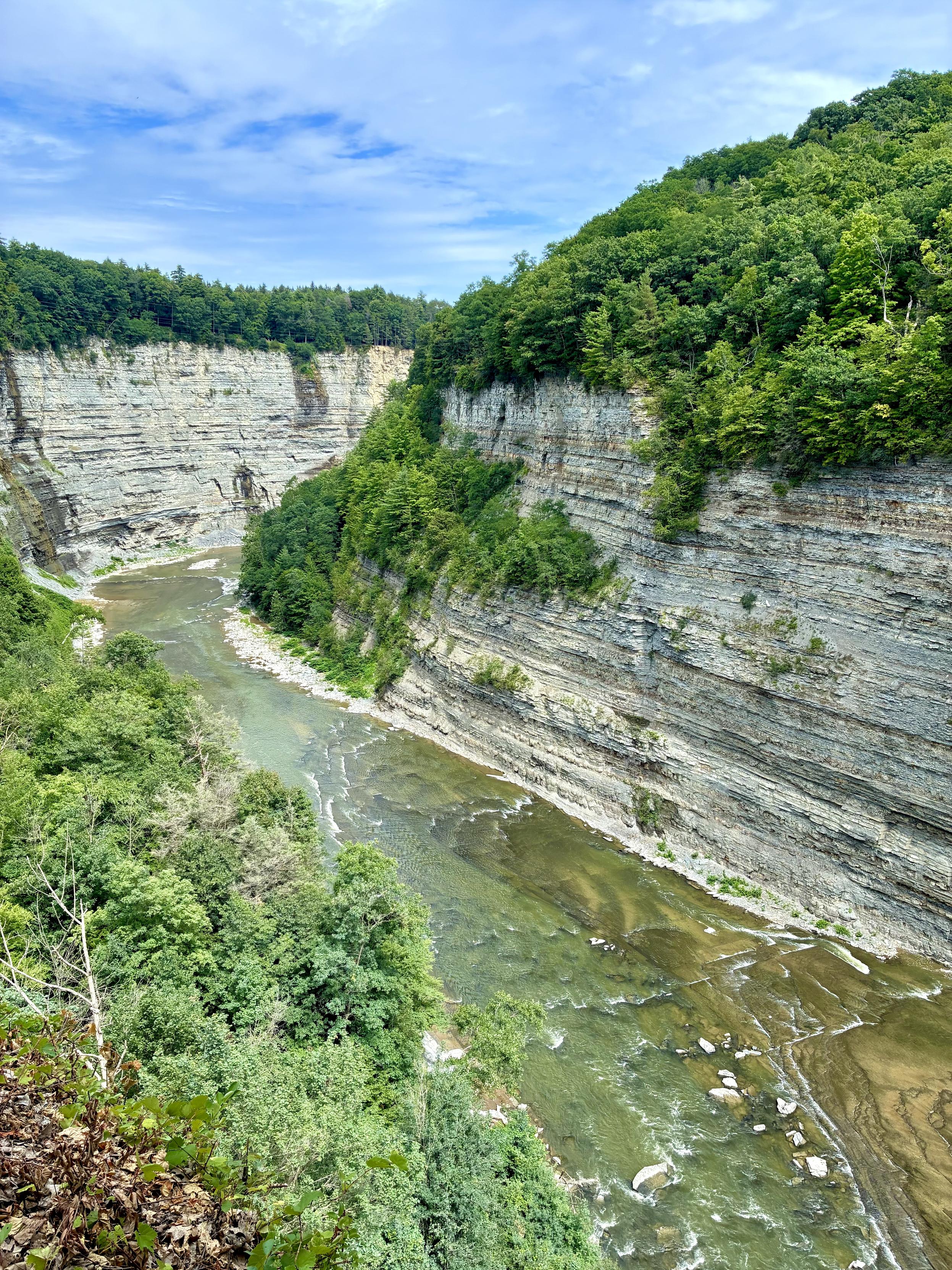 A winding river flows through a deep, forested gorge bordered by towering, horizontally layered gray rock cliffs. Dense green trees cover the cliff tops and slopes beneath the bright blue, partly cloudy sky.