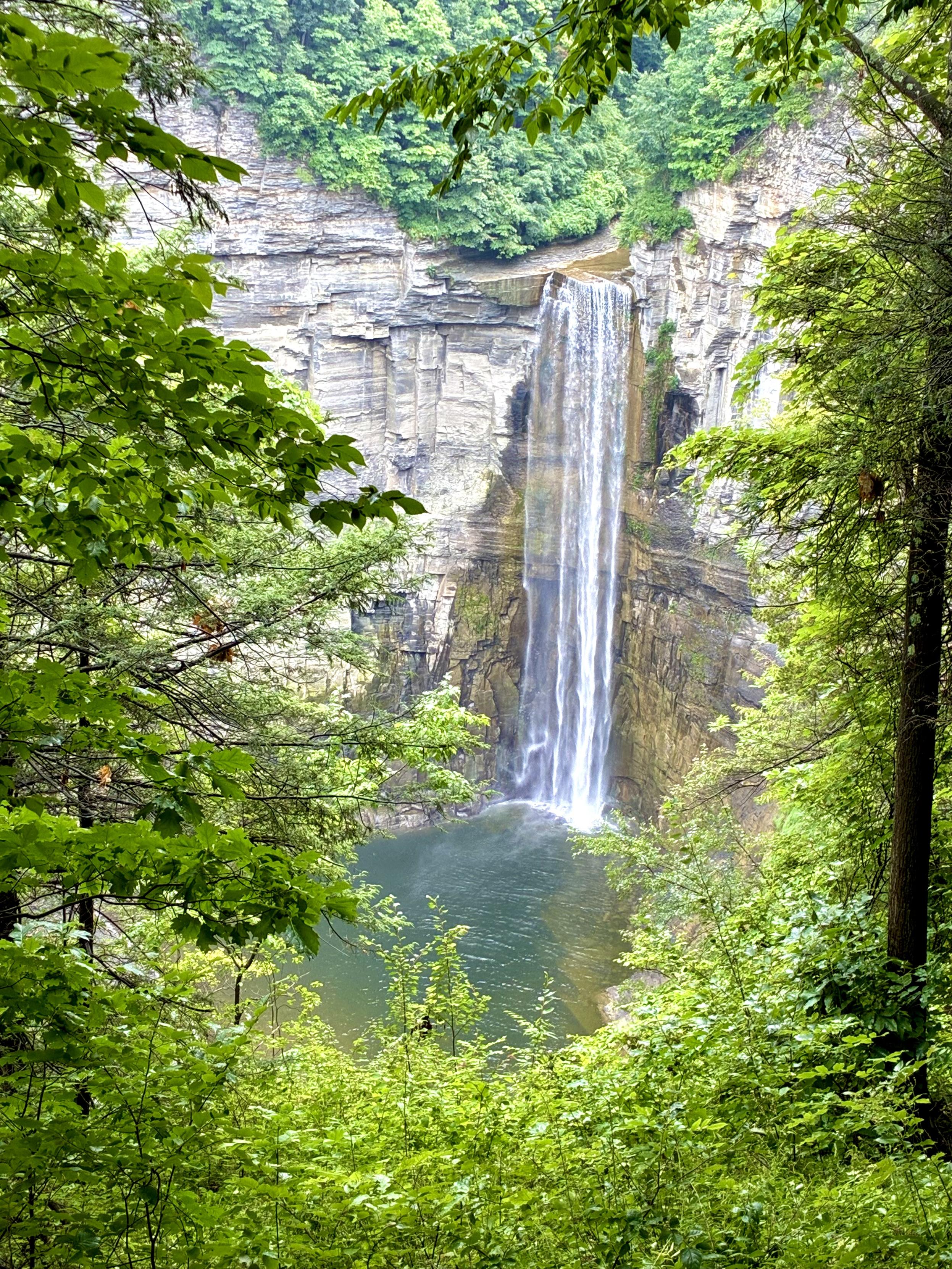 A tall waterfall plunges over layered rock cliffs into a deep pool, framed by lush green forest and dense foliage.