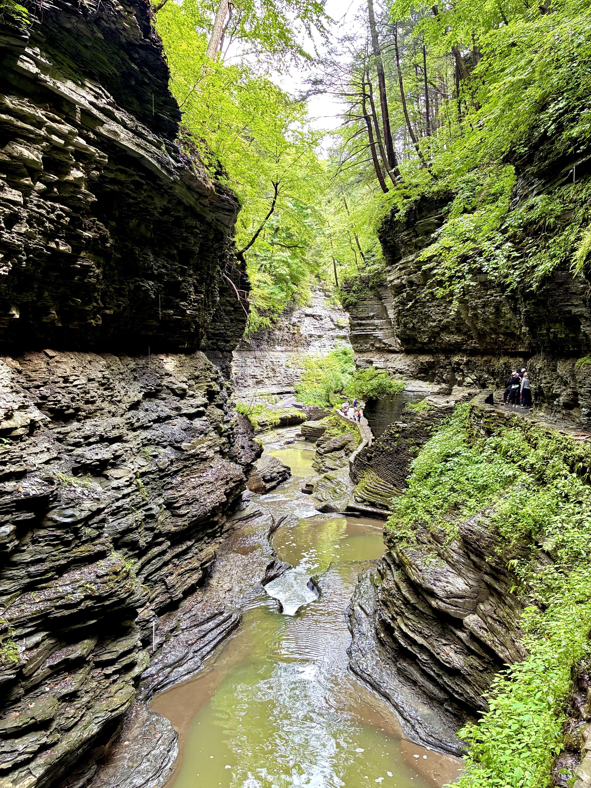 A narrow gorge with steep, layered rock walls covered in lush green vegetation, with a shallow stream winding through sculpted rock formations below and hikers along the trail.