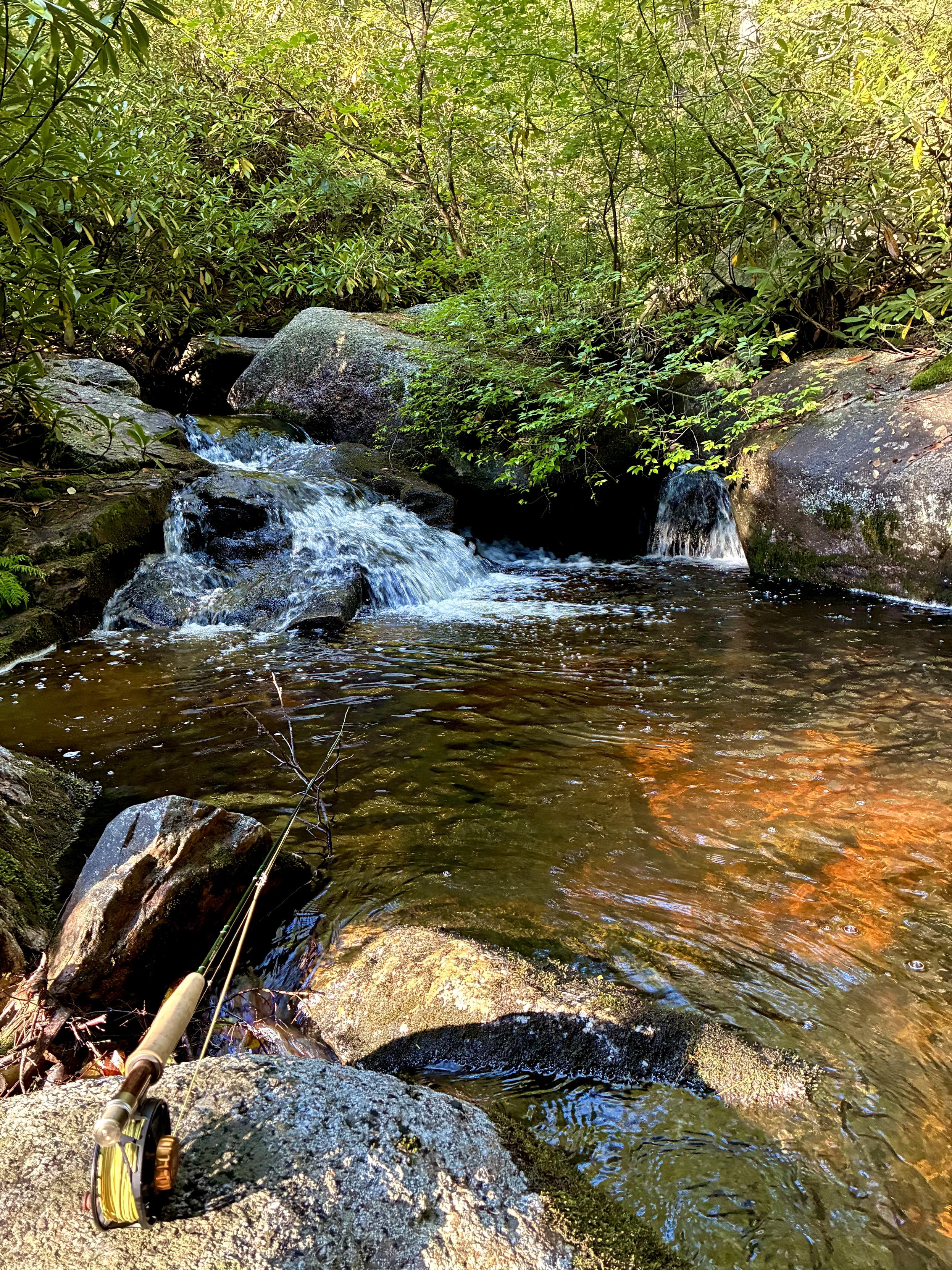 A fly rod rests on a rock beside a clear mountain stream, where small cascades tumble between large boulders into an amber-colored pool surrounded by dense green forest.