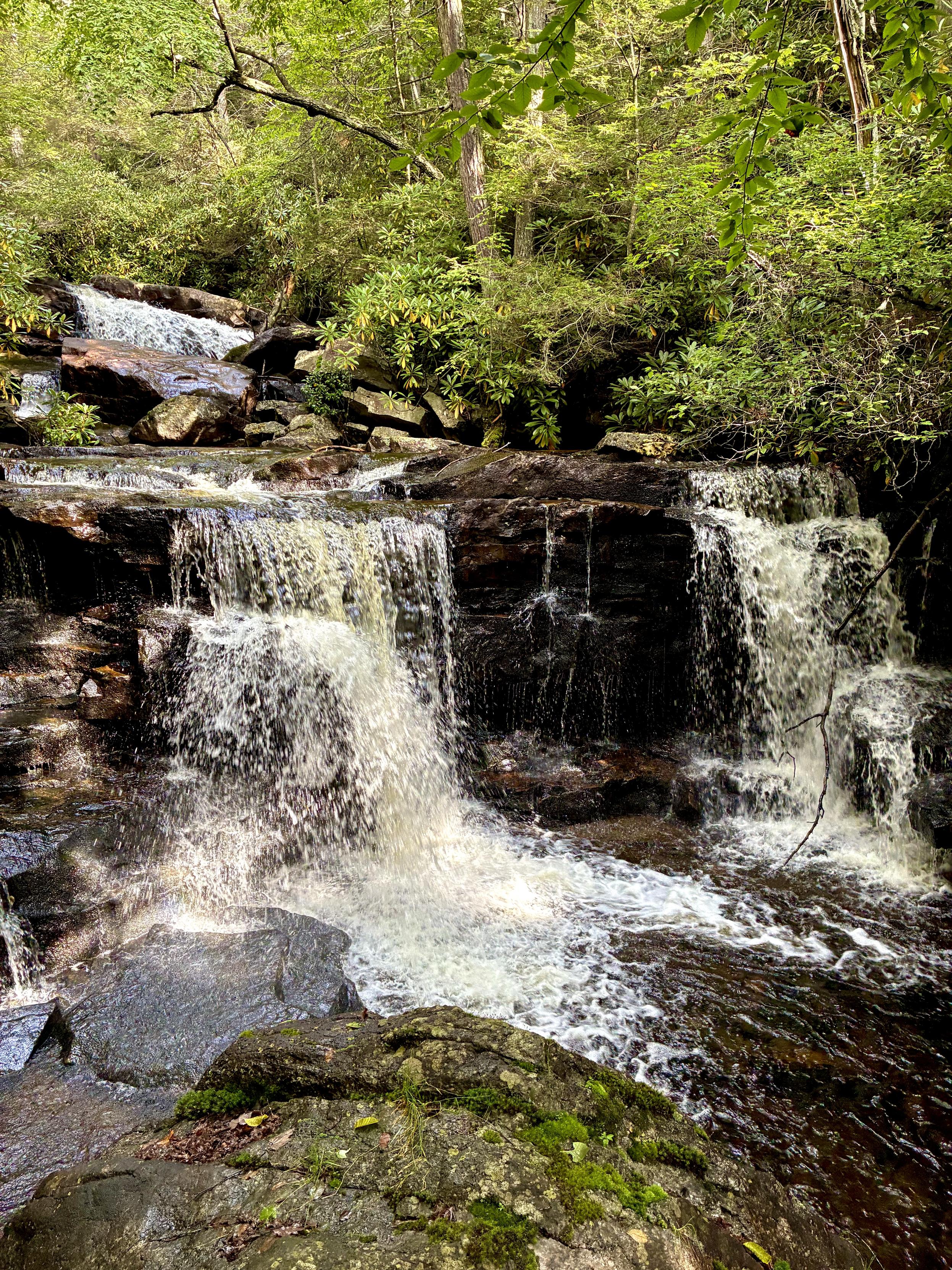 A series of small waterfalls cascading over dark rock ledges through a lush green forest, with water spilling into a rocky pool below.
